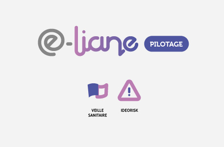 Pilotage